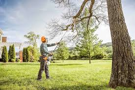 Byram Center, NJ Tree Removal and Landscaping Services Company